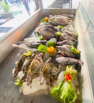 Exquisite Seafood