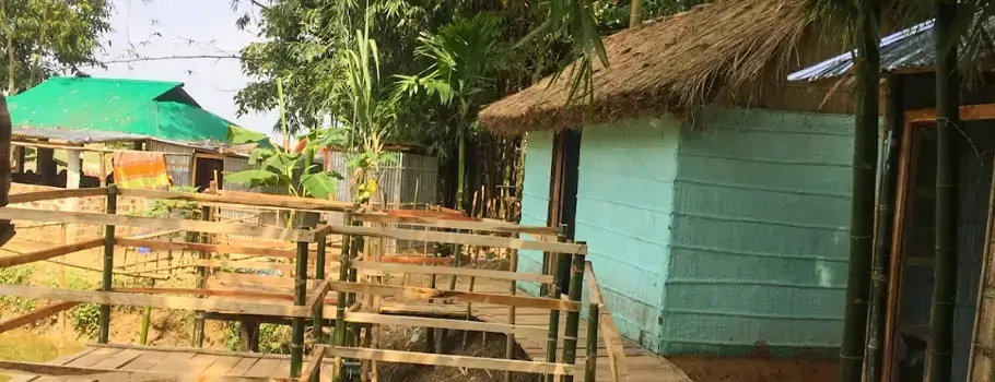 Jungle Eco Resort, Ratargul Swamp Forest
