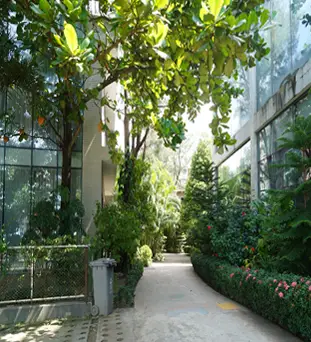 Touch of Nature